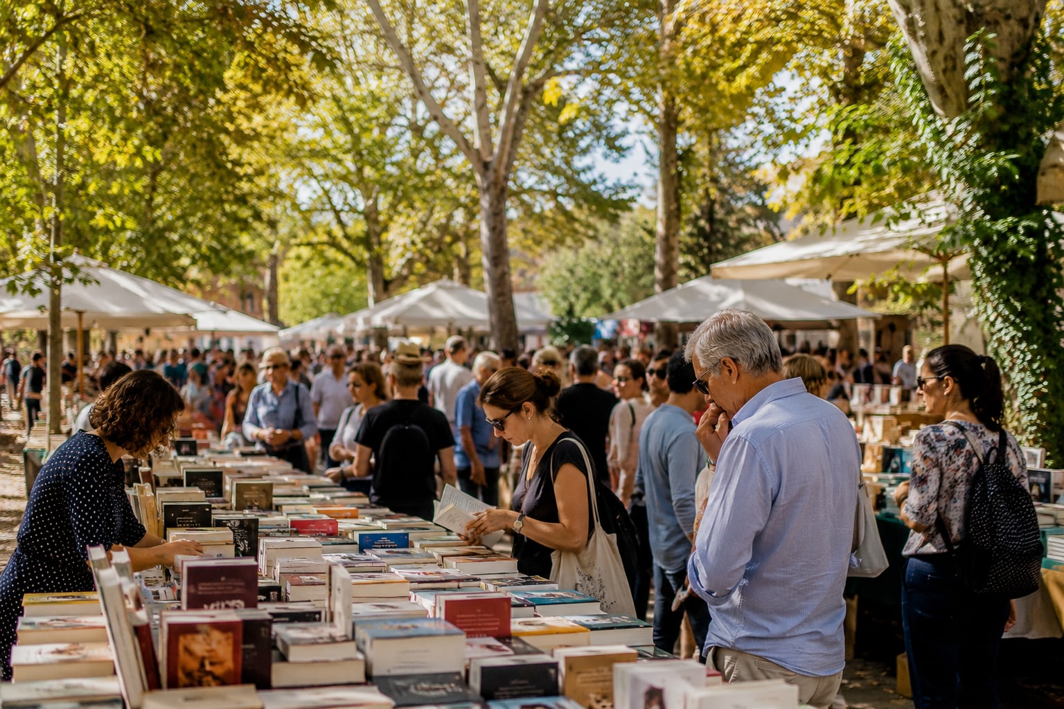 Project illustration for Mouans-Sartoux Book Festival
