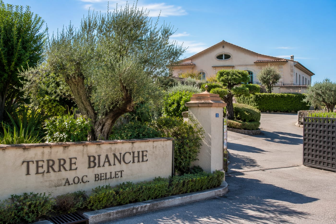 Illustration of Terre Bianche in Dolceacqua