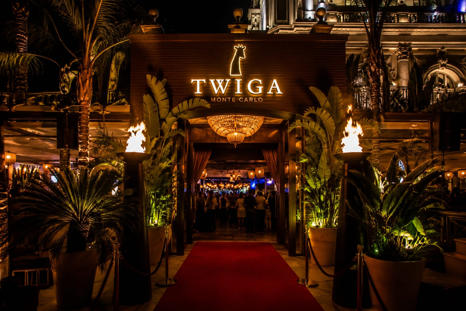 Illustration of Twiga Monte Carlo